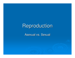 Reproduction Asexual vs. Sexual