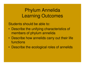 Phylum Annelida Learning Outcomes