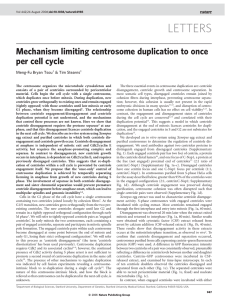 Mechanism limiting centrosome duplication to once per cell cycle Meng-Fu Bryan Tsou