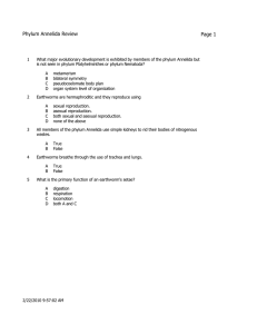 Phylum Annelida Review Page 1