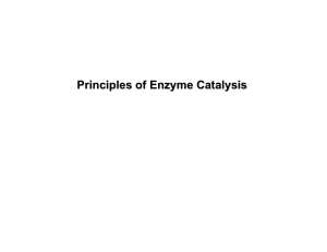Principles of Enzyme Catalysis