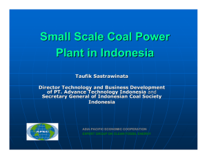 Small Scale Coal Power Plant in Indonesia