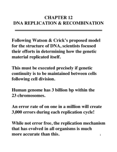 CHAPTER 12 DNA REPLICATION &amp; RECOMBINATION Following Watson &amp; Crick’s proposed model