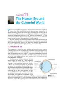 11 The Human Eye and the Colourful World Y