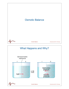 Osmotic Balance What Happens and Why? Bioengineering 6000 CV Physiology