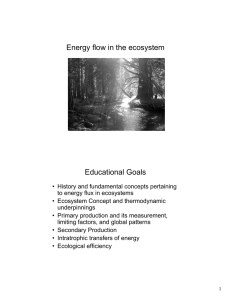 Energy flow in the ecosystem Educational Goals