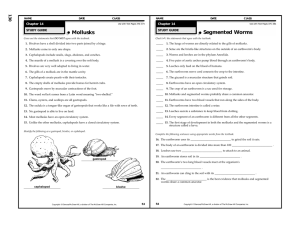 Mollusks 130 Chapter 14 STUDY GUIDE