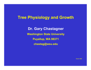 Tree Physiology and Growth Dr. Gary Chastagner Washington State University Puyallup, WA 98371