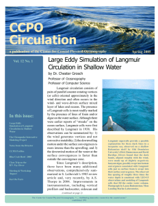 CCPO Circulation Large Eddy Simulation of Langmuir Circulation in Shallow Water