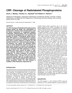 CRP: Cleavage of Radiolabeled Phosphoproteins * Aaron J. Mackey, Timothy A.J. Haystead