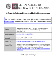 A Thalamic Reticular Networking Model of Consciousness
