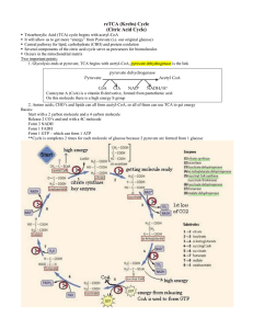 reTCA (Krebs) Cycle (Citric Acid Cycle)