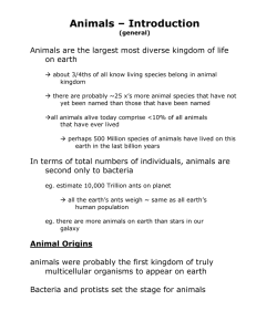 Animals – Introduction  on earth