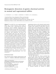 Biomagnetic detection of gastric electrical activity in normal and vagotomized rabbits
