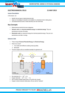 ELECTROCHEMICAL CELLS  21 MAY 2013 Lesson Description
