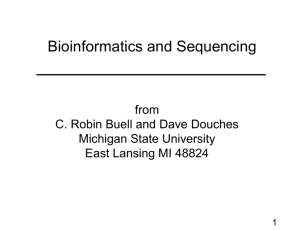 Bioinformatics and Sequencing from C. Robin Buell and Dave Douches Michigan State University