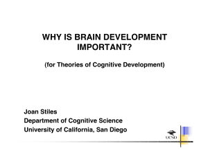 WHY IS BRAIN DEVELOPMENT IMPORTANT?