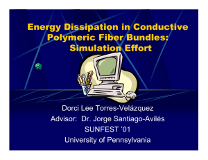 Energy Dissipation in Conductive Polymeric Fiber Bundles: Simulation Effort Dorci Lee Torres-Velázquez