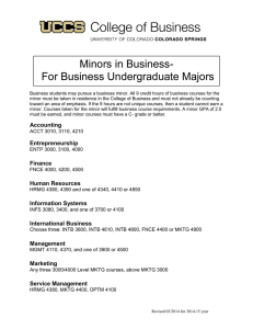 Minors in Business- For Business Undergraduate Majors