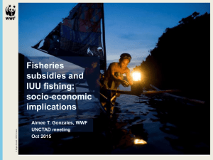 Fisheries subsidies and IUU fishing: socio-economic