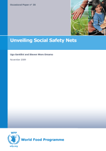 Unveiling Social Safety Nets Occasional Paper n° 20 November 2009