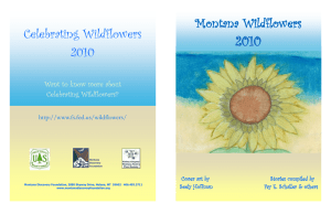 2010 Celebrating Wildflowers Montana Wildflowers