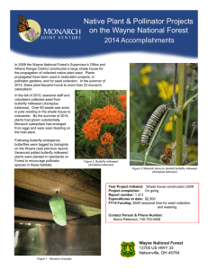 Title text here  Native Plant &amp; Pollinator Projects
