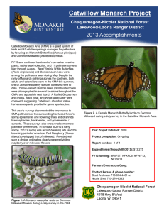 Title text here  Catwillow Monarch Project 2013 Accomplishments