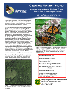 Title text here  Catwillow Monarch Project 2012 Accomplishments