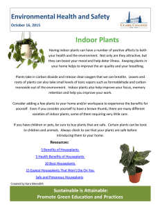 Indoor Plants  Environmental Health and Safety