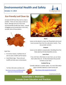 Environmental Health and Safety Eco-Friendly Leaf Clean Up October 17, 2014
