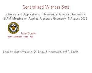 Generalized Witness Sets