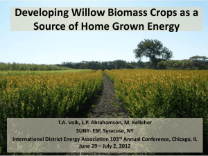 Developing Willow Biomass Crops as a Source of Home Grown Energy