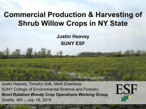 Commercial Production &amp; Harvesting of Shrub Willow Crops in NY State