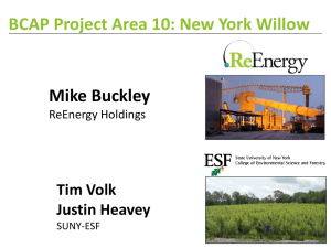 BCAP Project Area 10: New York Willow Mike Buckley Tim Volk Justin Heavey