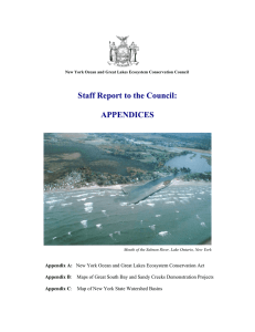 Staff Report to the Council:  APPENDICES Appendix A: