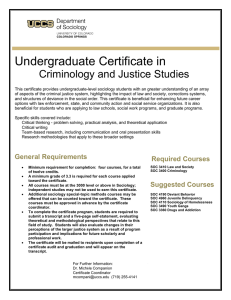 Undergraduate Certificate in  Criminology and Justice Studies