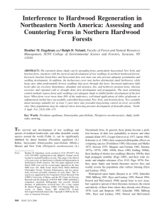 Interference to Hardwood Regeneration in Northeastern North America: Assessing and