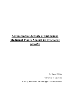 Antimicrobial Activity of Indigenous Enterococcus faecalis