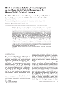 Effect of Dermatan Sulfate Glycosaminoglycans Human Medial Collateral Ligament