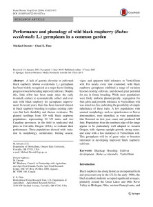 Performance and phenology of wild black raspberry (Rubus