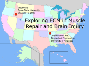 Exploring ECM in Muscle Repair and Brain Injury ngineering