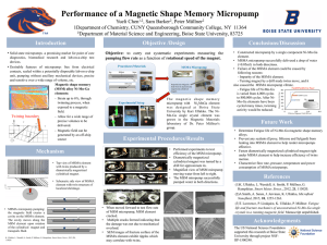 Performance of a Magnetic Shape Memory Micropump