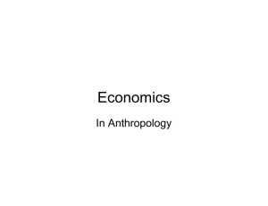 Economics In Anthropology