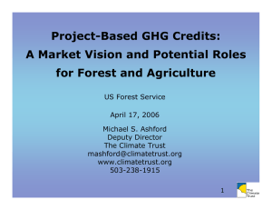 Project-Based GHG Credits: A Market Vision and Potential Roles