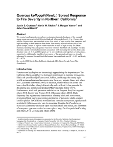 to Fire Severity in Northern California Quercus kelloggii Justin S. Crotteau,