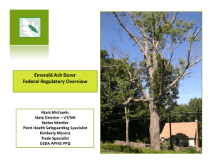 Emerald Ash Borer Federal Regulatory Overview