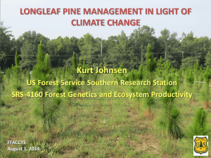LONGLEAF PINE MANAGEMENT IN LIGHT OF CLIMATE CHANGE Kurt Johnsen
