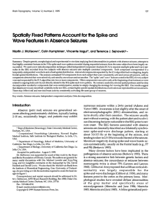 Spatially Fixed Patterns Account for the Spike and