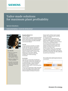 Tailor-made solutions for maximum plant profitability Service Solutions Instrumentation, Controls &amp; Electrical